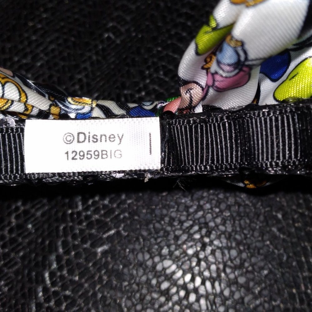 9$ SALE: Mickey & friends ears - Picture 3 of 4